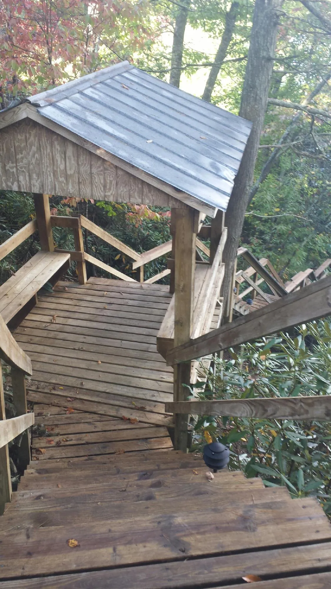 Metal roofed shelter over wooden steps on a wooded walkway — Skylight Repair & Installation work by our crew in Bandera